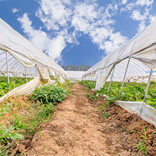Civil farm